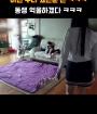 멍청단의 어린시절