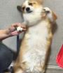 건강해지는 방법